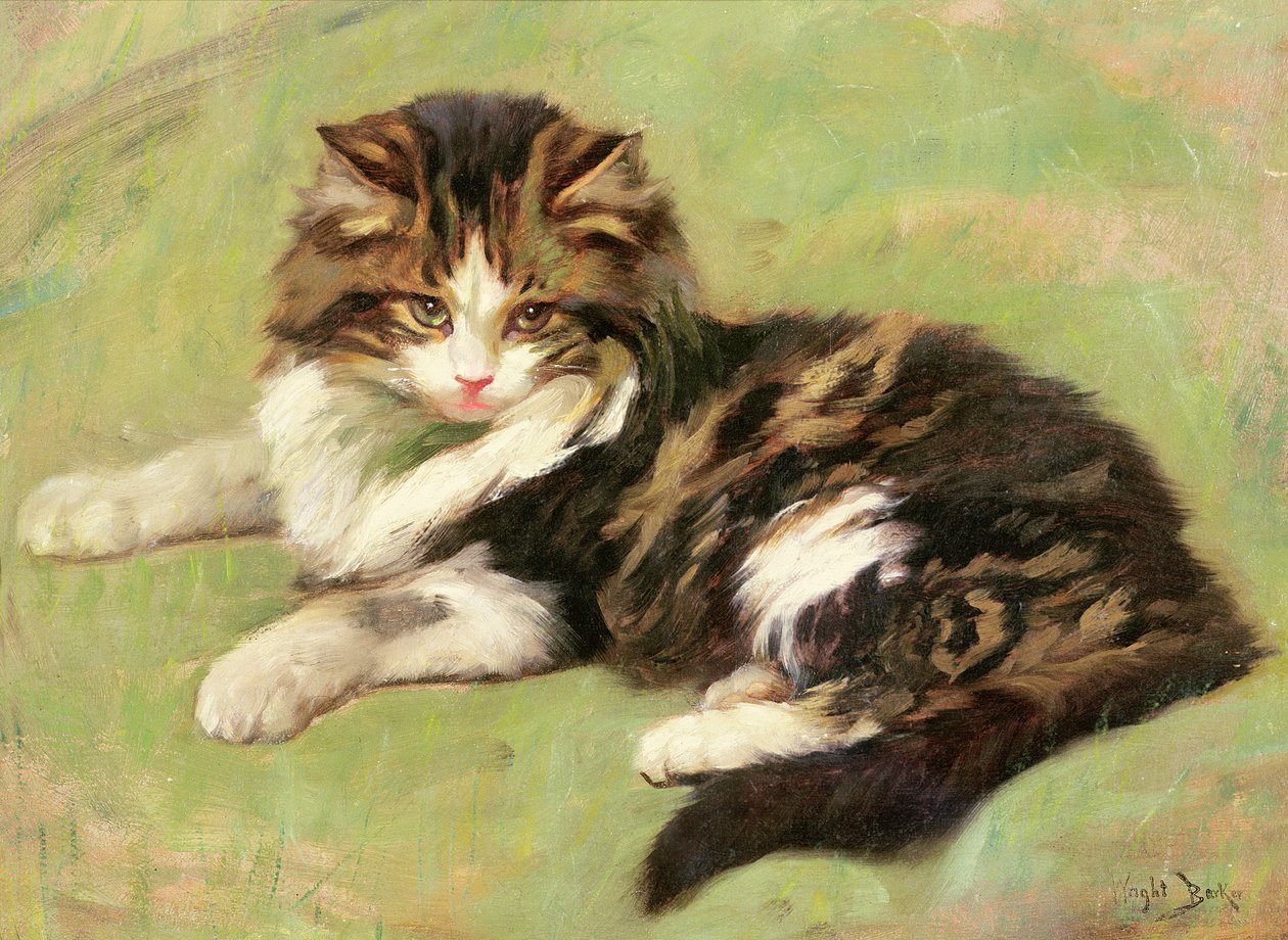 In Ruhe von Wright Barker