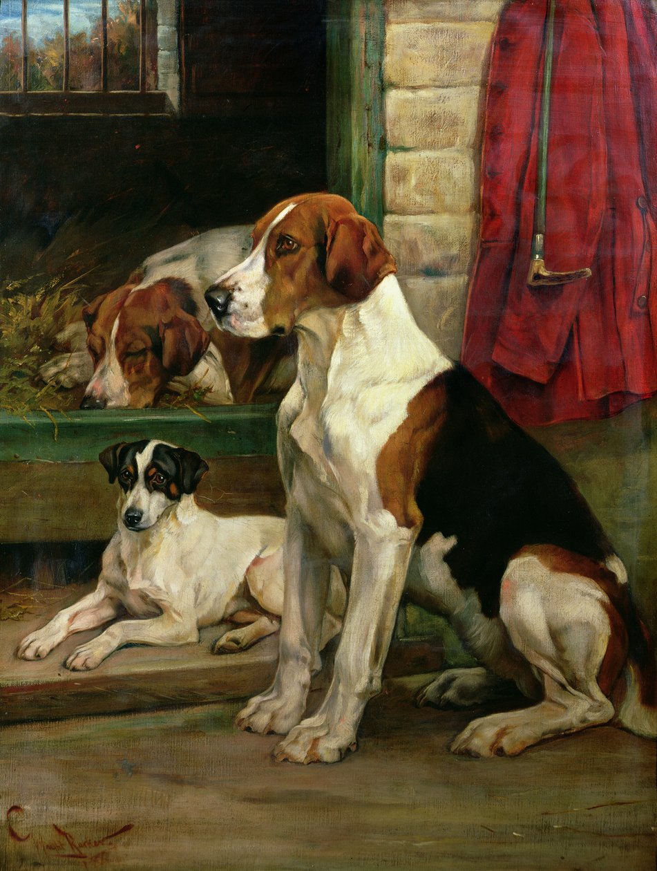 Bei den Hundezwingern von Wright Barker