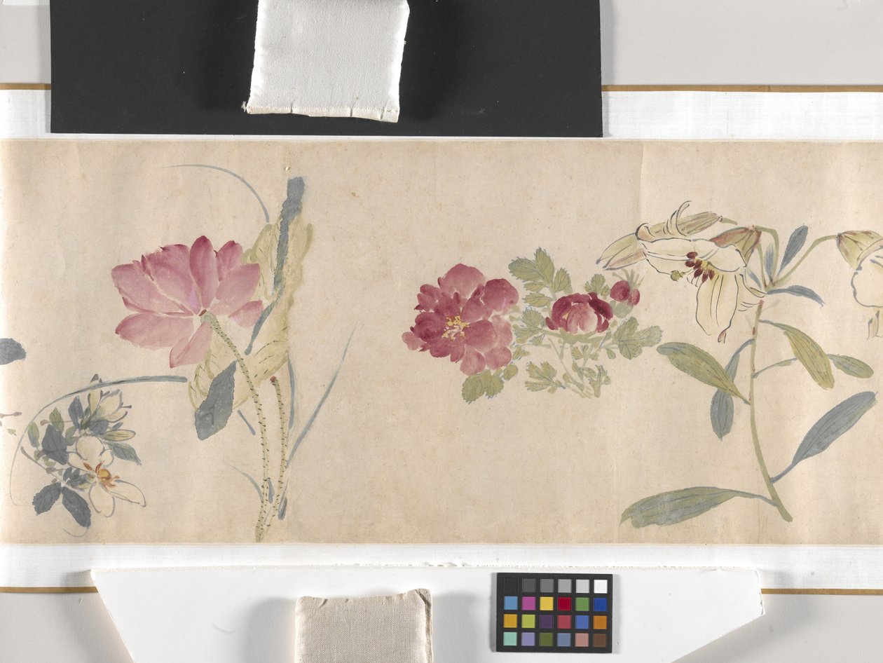 Bunte Blumen von Zhimian Zhou
