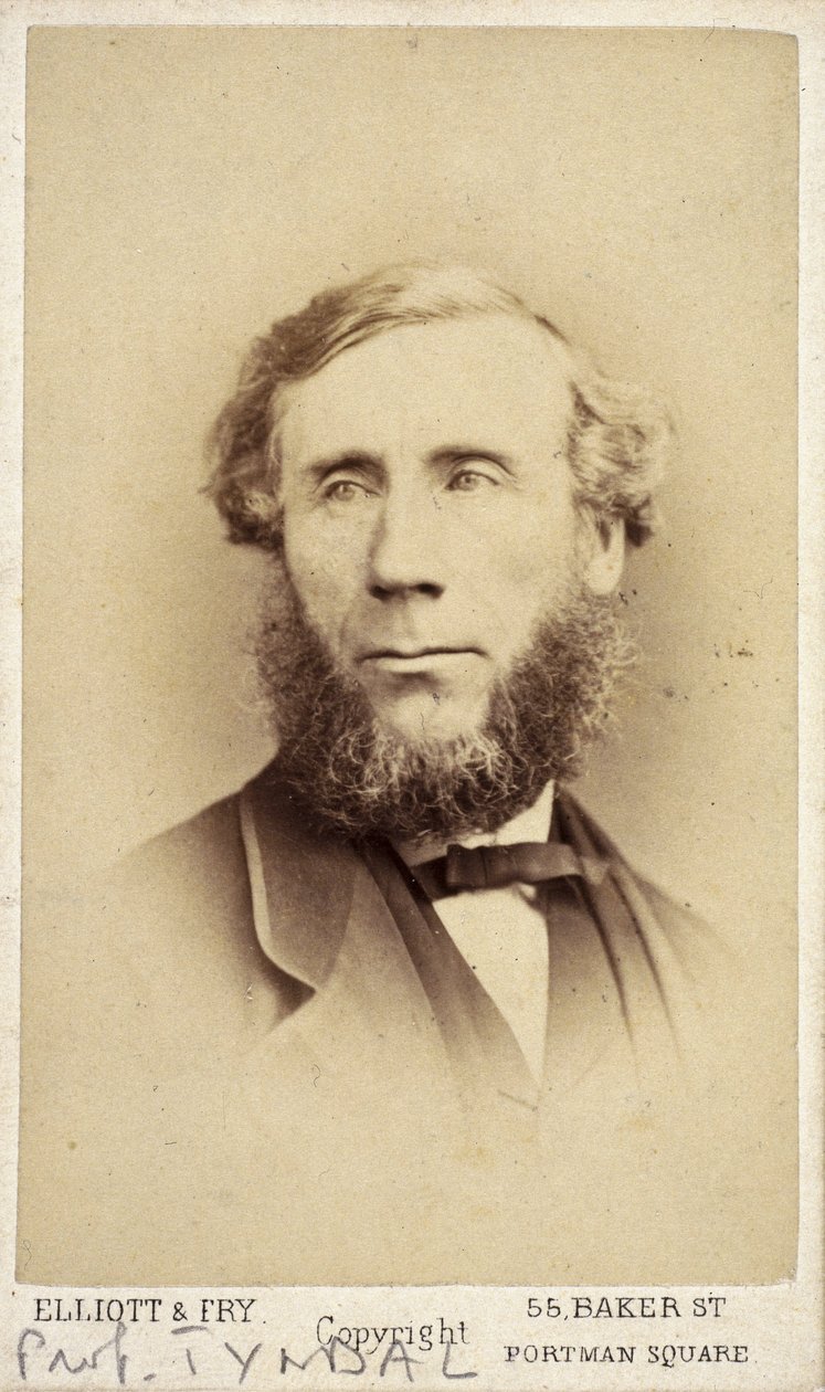 John Tyndall, irischer Physiker, um 1875 von Frederick (attr. to) Barnard