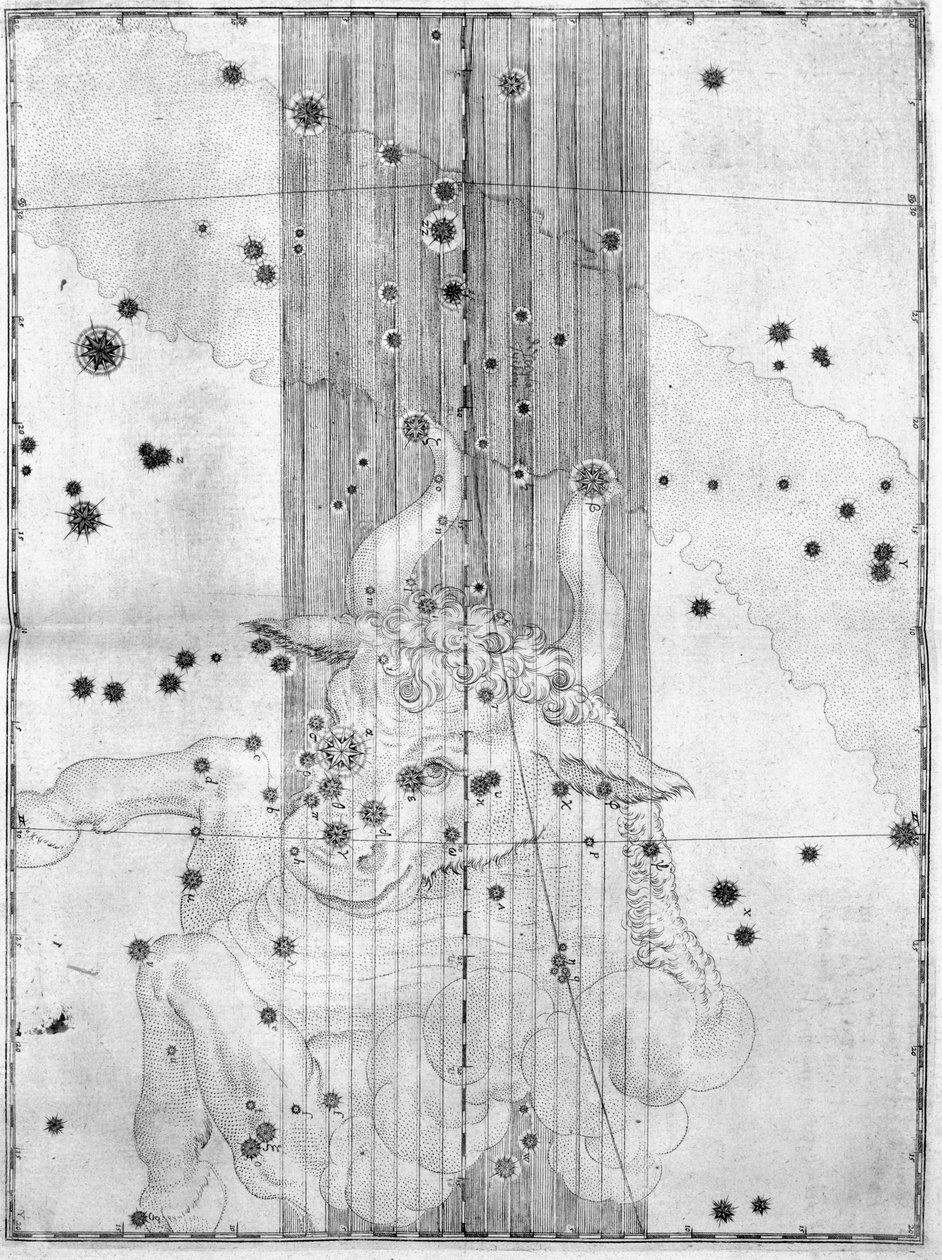 Das Sternbild Stier von Frederick (attr. to) Barnard