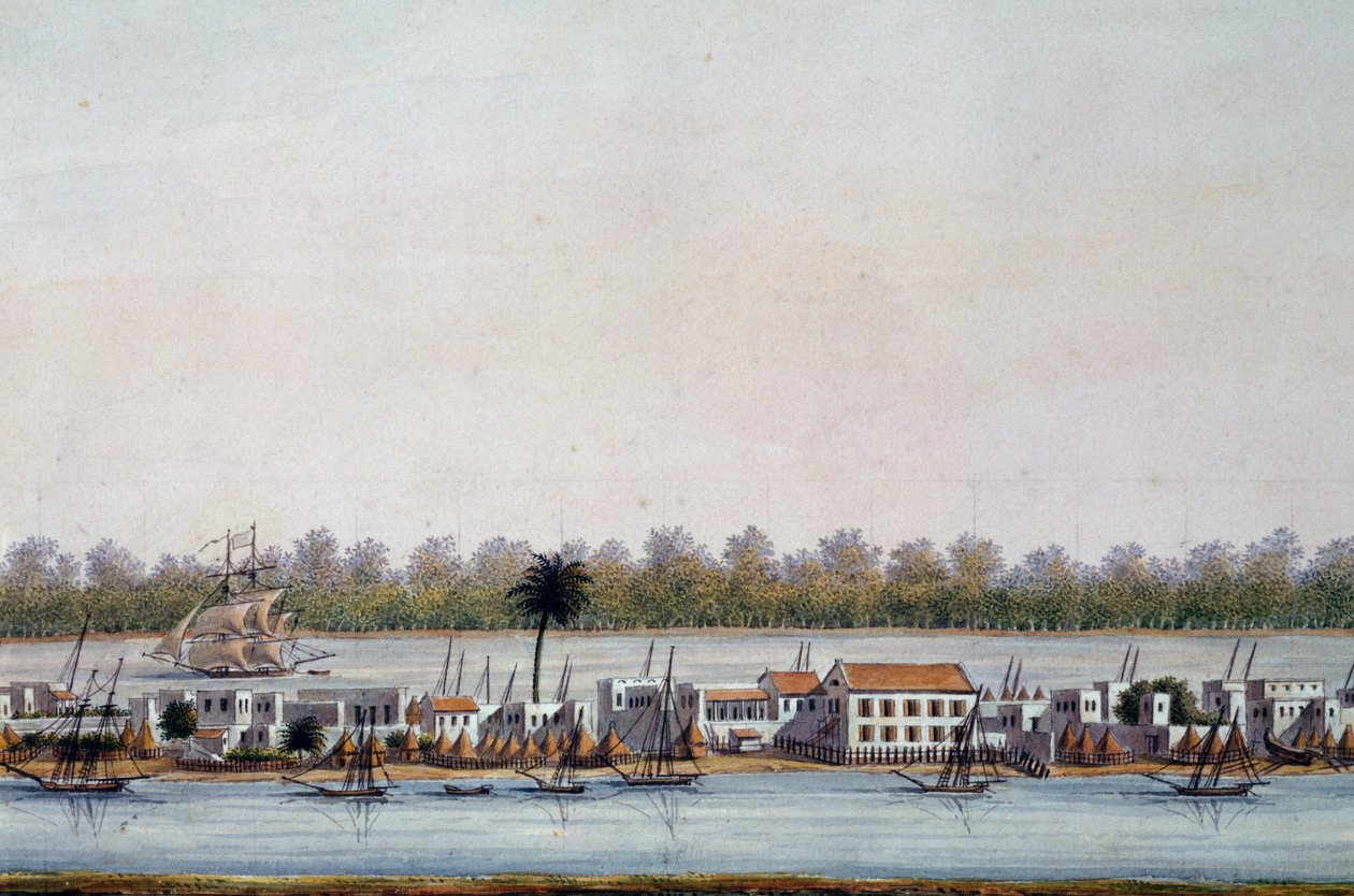 Ansicht von St. Louis, Senegal von William Walcutt