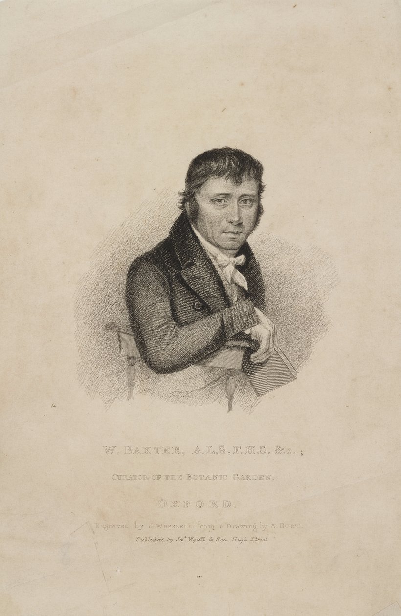 William Baxter, ALS FHS, britischer Botaniker, ca. 1820er von Frederick (attr. to) Barnard