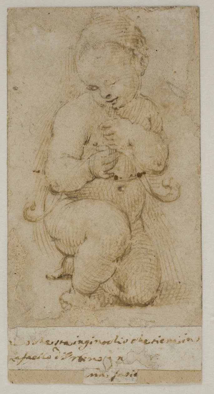 Das Kind Johannes der Täufer von after Raphael