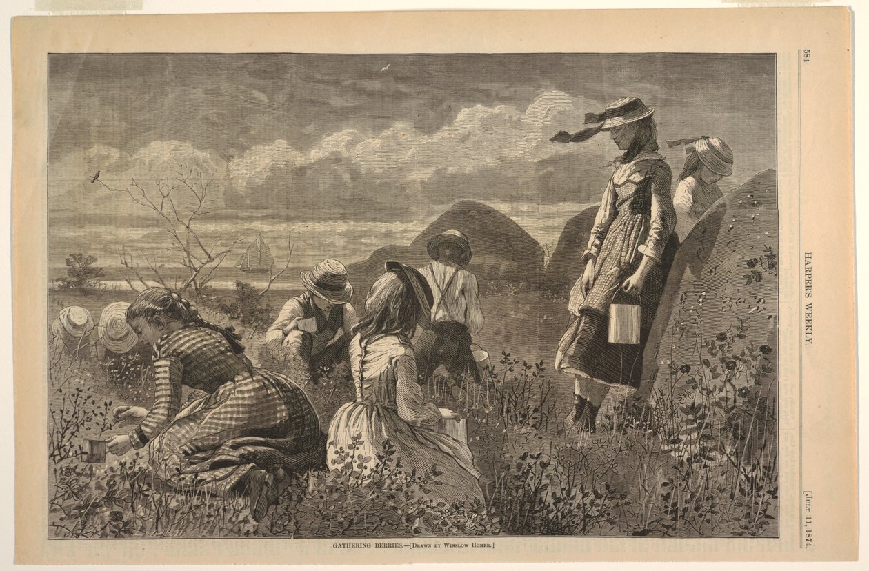 Beeren sammeln von after Winslow Homer