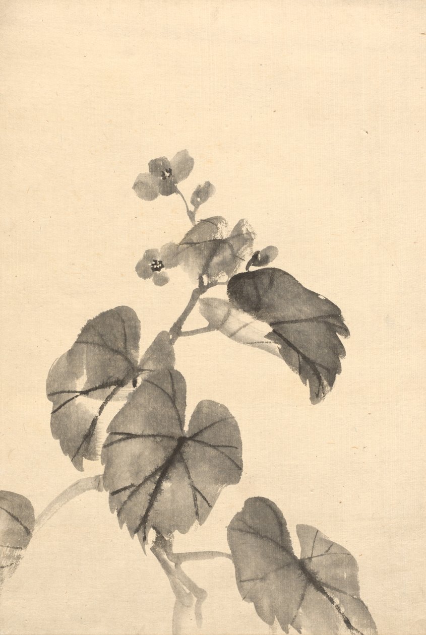 Blühender Begonienzweig von attributed to Kono Bairei