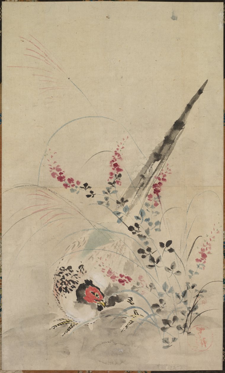 Fasan und Gräser von attributed to Ogata Kōrin