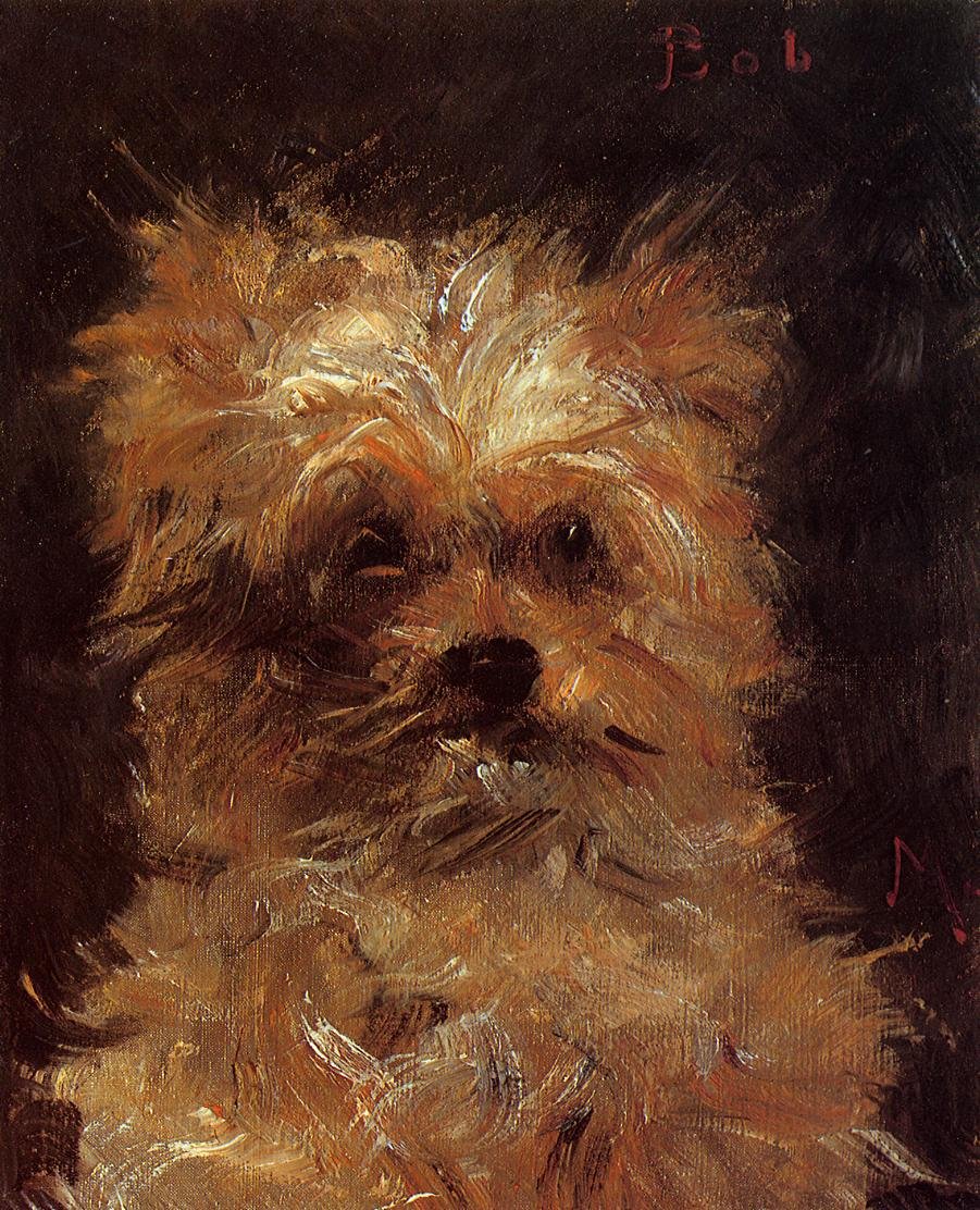 Bob, Griffonhund von Édouard Manet
