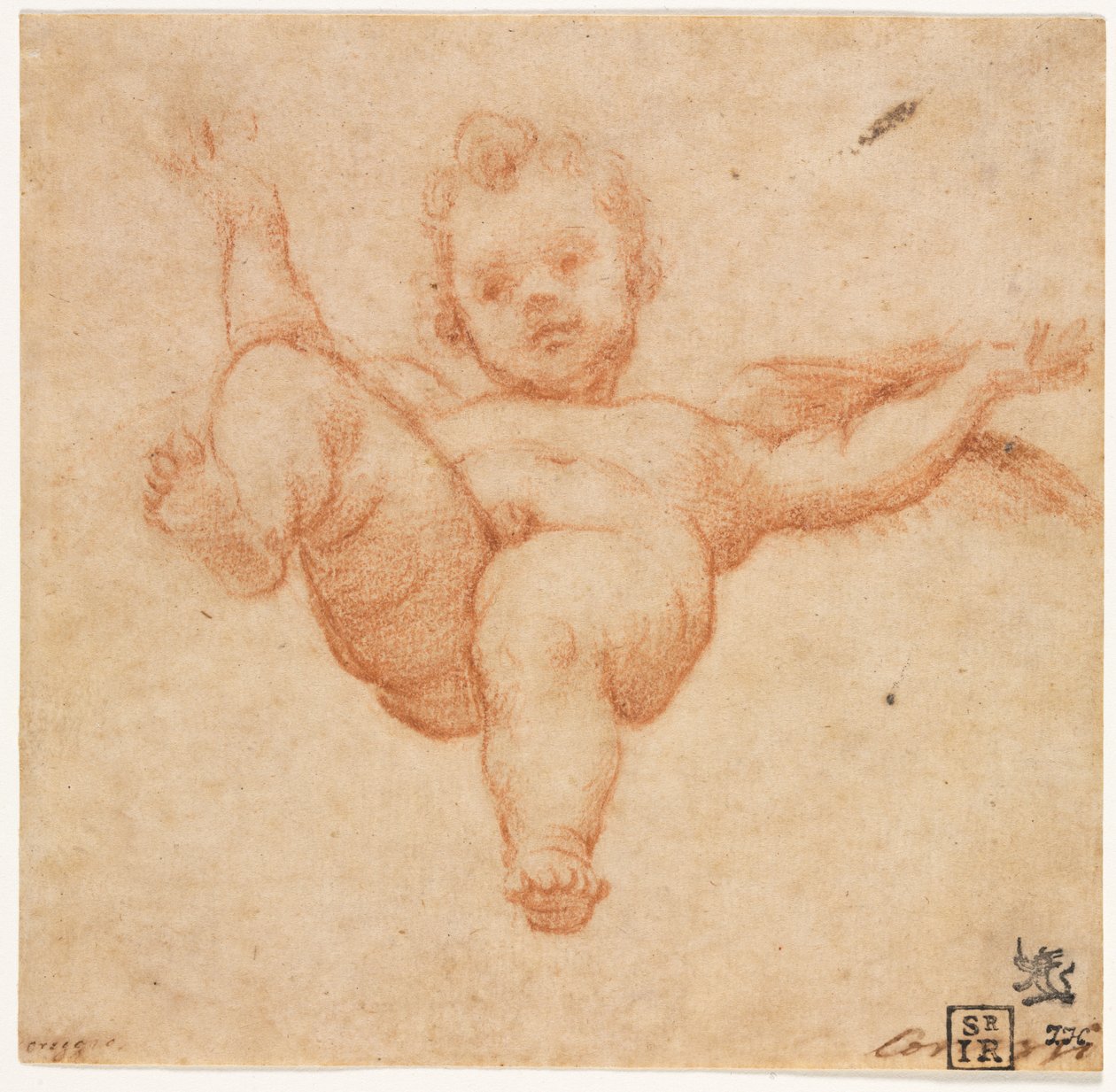 Fliegender Amor von follower of Annibale Carracci