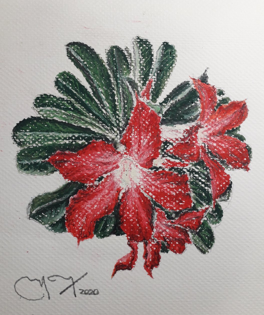Wüstenblume von miguelmendez_art.ve