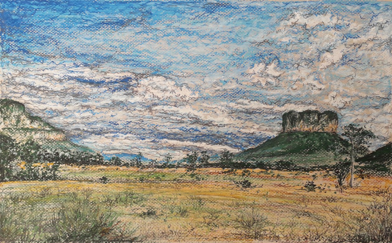 Die Große Savanne Venezuela von miguelmendez_art.ve