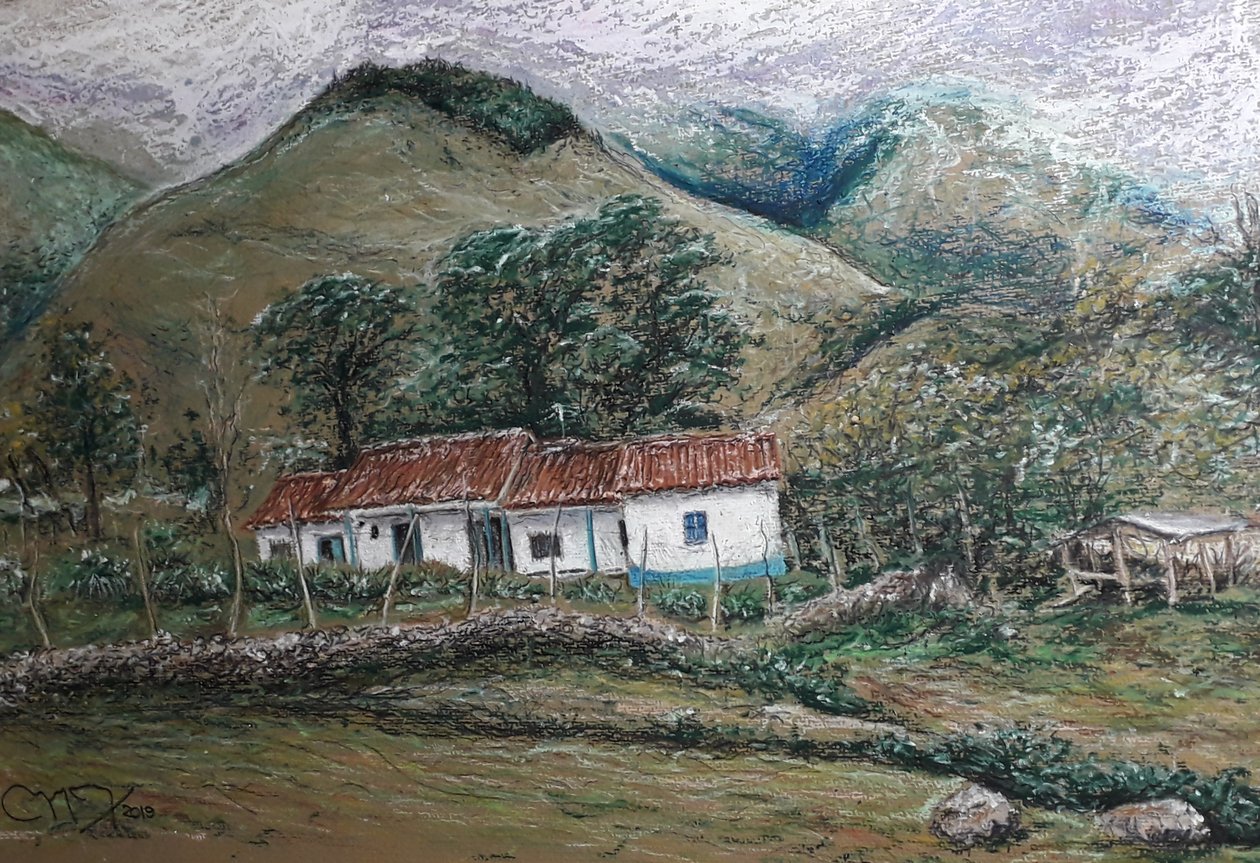 Andenlandschaft - Llano Largo, Venezuela von miguelmendez_art.ve
