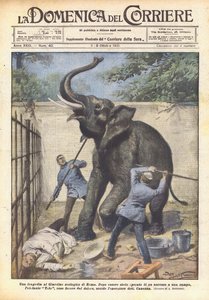 Eine Tragödie im Zoo von Rom