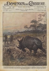 Ein Jagdabenteuer in Afrika