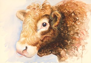 Adam der Stier, 2016, Aquarell
