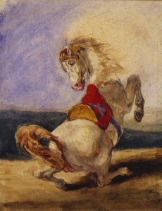 Steigendes Pferd