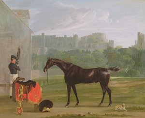 Vor dem Wachhaus in Windsor