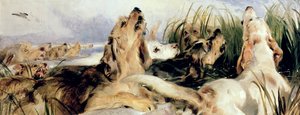 Otterhunde