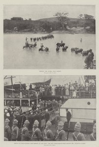 Der Krieg im Transvaal