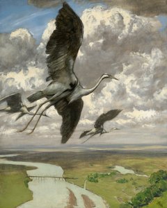 Wunderbare Vögel, 1892