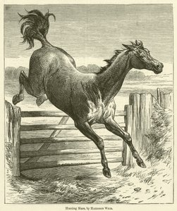 Jagdstute