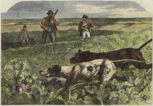 Der erste September