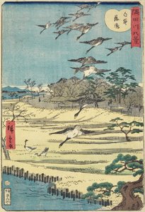 Heimkehrende Gänse in Shirahige, November 1861