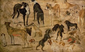 Studie von Hunden, 1616