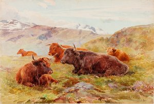 Hochlandlandschaft mit Vieh