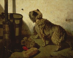Der Hund und die Fliege, 1856