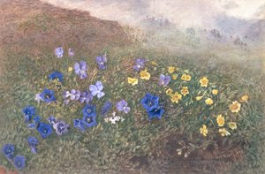 Frühlingsbergblumen, 1896
