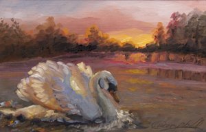 Schwan bei Sonnenaufgang, 2016