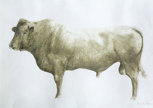 Islay-Bulle, 2004 (Acryl auf Leinwand)
