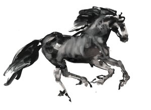 Galopp, 2015
