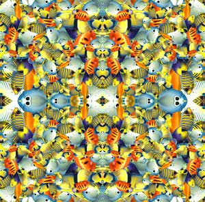 Kaleidoskop-Fischfliese