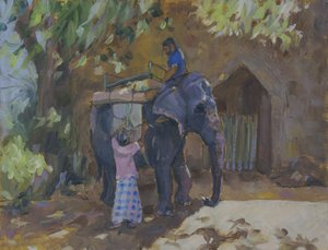 Elefant, Sri Lanka, 2015