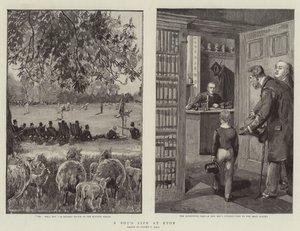 Das Leben eines Jungen in Eton