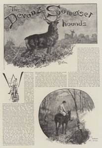 Die Devon und Somerset Jagdhunde