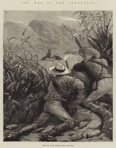 Der Krieg im Transvaal