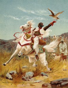Falknerei in Marokko