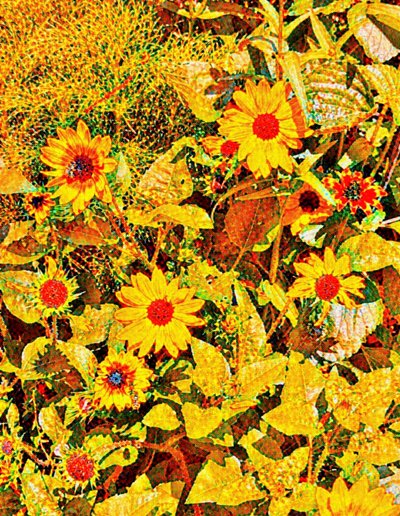 Sonnenblumen für Van Gogh. von Margareta Uliarte