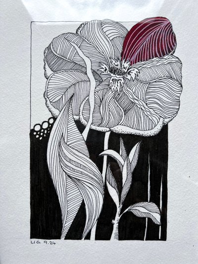 Blüte von Urs Grünenfelder