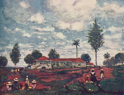 Eine Kaffeefazenda, 1916 von A. S. Forrest