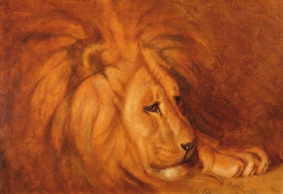 Löwe in Ruhe von Abbott Handerson Thayer