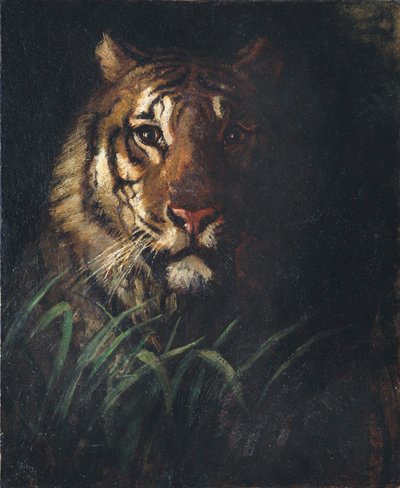 Tigerkopf von Abbott Handerson Thayer