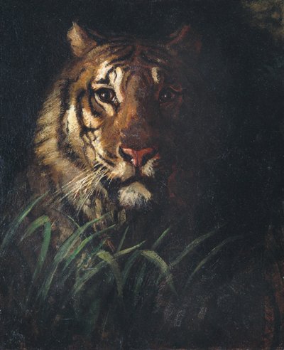 Tigerkopf von Abbott Handerson Thayer