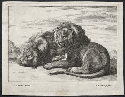 Verschiedene Löwen von Abraham Blooteling