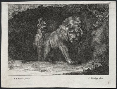 Verschiedene Löwen von Abraham Blooteling
