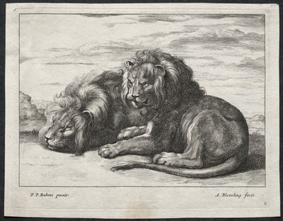 Verschiedene Löwen von Abraham Blooteling