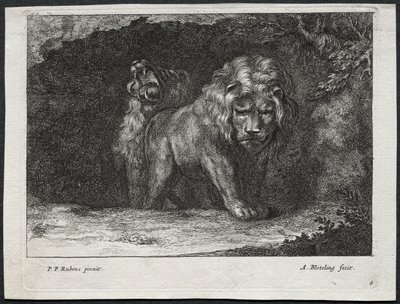 Verschiedene Löwen von Abraham Blooteling